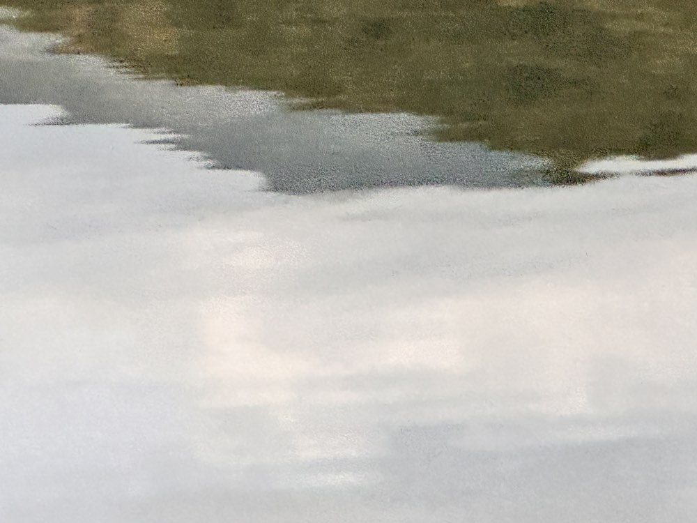 Reflections by the water